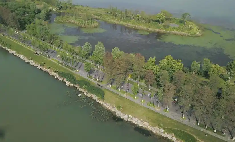 武汉:绿道休闲|东湖|新冠肺炎_新浪新闻