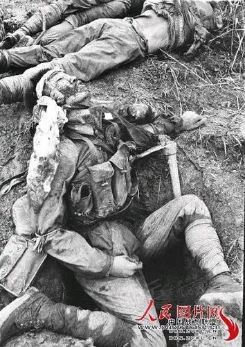 忠山陵园扫墓纪悼图片