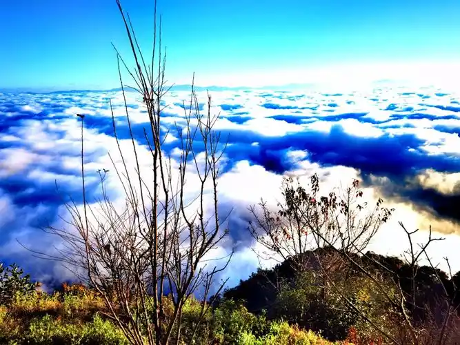 哀牢山云海日出精选照片集(一)!#哀牢山云海日出#自然风光 - 抖音