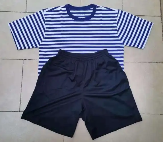 海军t恤训练服陆战队原厂海魂衫海体能短袖体能服短袖速干透气蓝白t恤