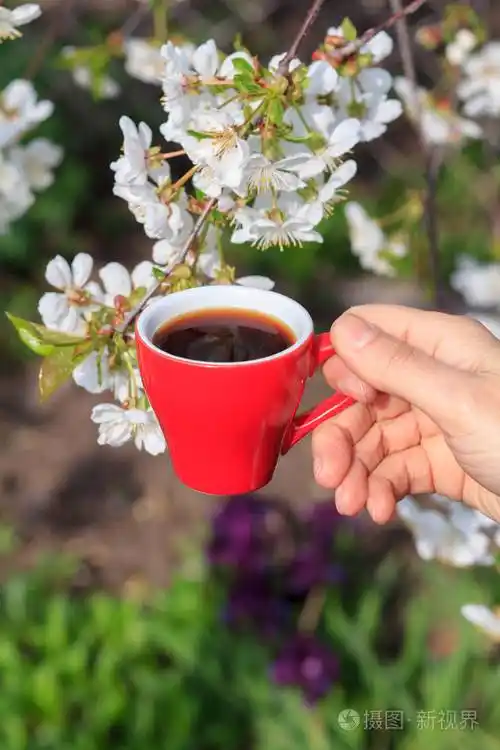 雌性手拿着一杯红瓷咖啡,背景上有开花的樱桃树. 选择性地专注于杯子.