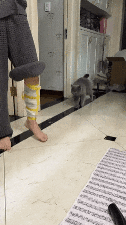 走路总跛着脚结果上周她突然发现家里猫居然也跟着一瘸一拐!