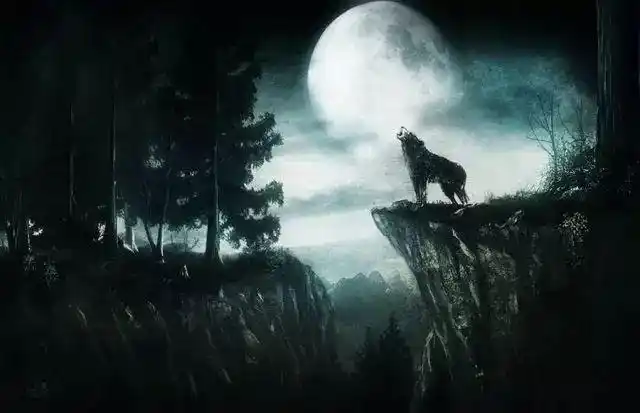 一件被长期低估的战术装备