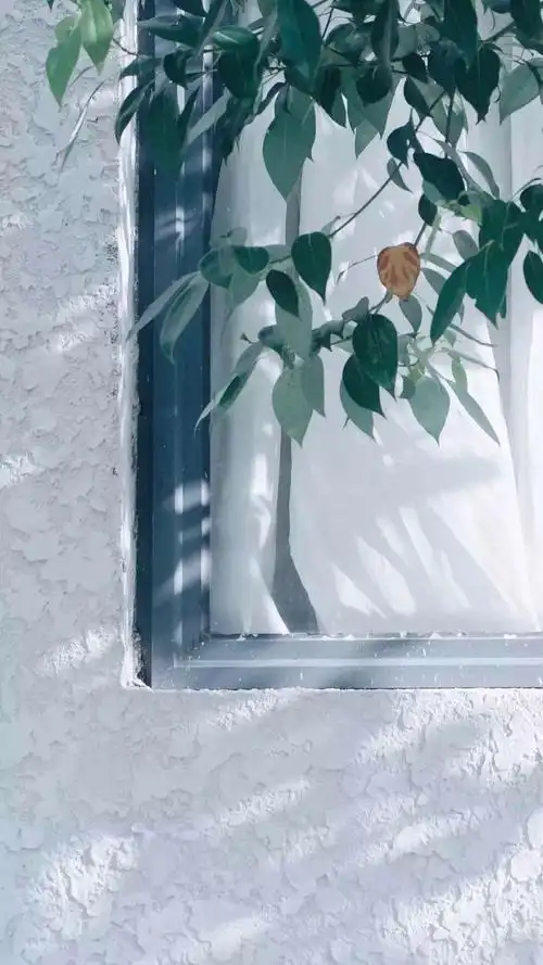 安静唯美小清新