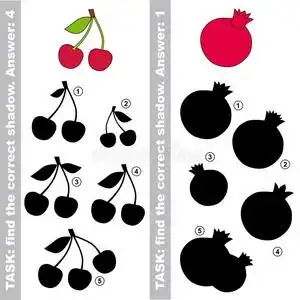 找到真正正确的影子.照片