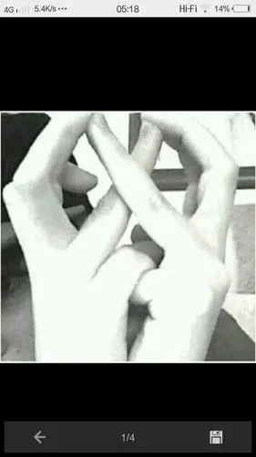 exo手势(全部的)求视频