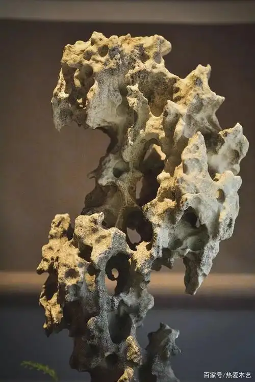 精美太湖石,天然形态