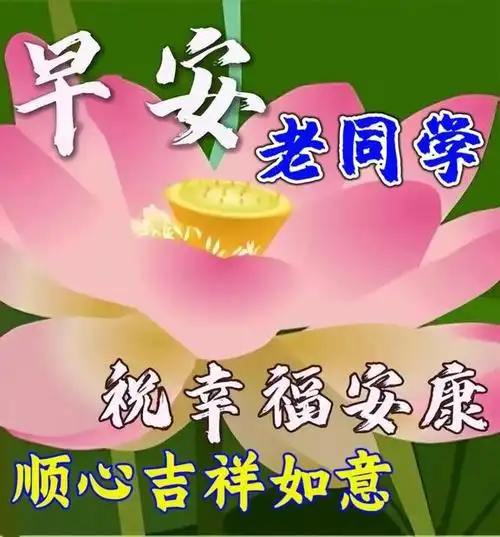 祝老同学幸福安康的早上好问候语,温馨甜蜜的早安心语唯美句子