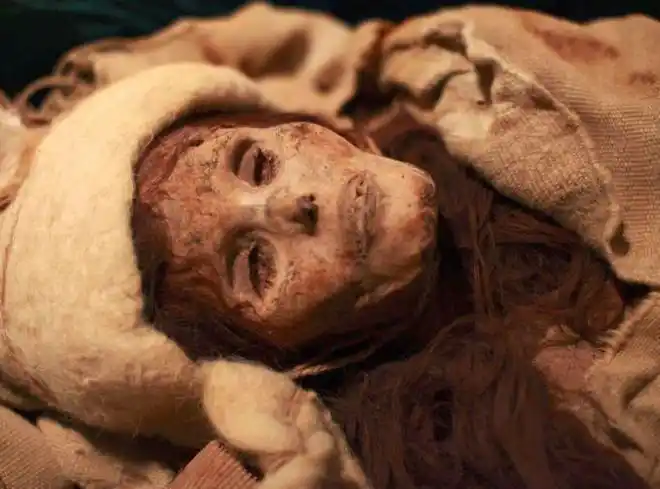 中世纪欧洲宴会主人命人将一具木乃伊切块磨粉加到宾客红酒里