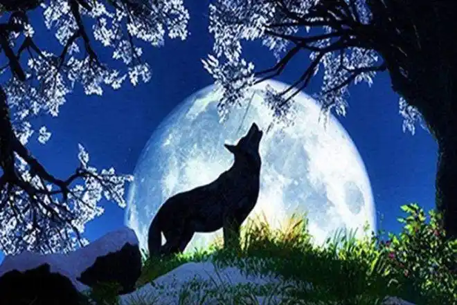 书评七界传说天之都啸月天狼