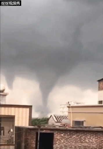 实拍湛江惊现双龙卷风 连根拔起红树林