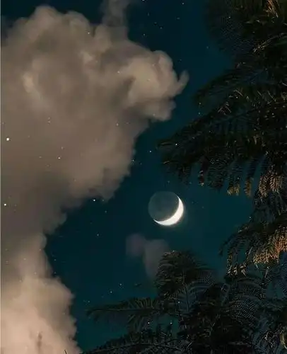 适合熬夜时发朋友圈的句子,经典有趣,送给深夜的你!