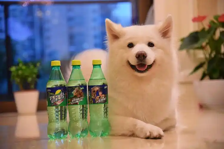 当雪碧遇上英雄联盟:让我们一起爽翻夏日