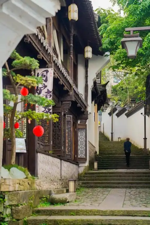 在他记忆中,清河坊的闹忙,"是一种平民化的一目了然的铺陈,一种悠悠然