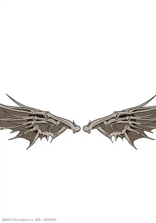 关键词:翅膀图案 翅膀 天使翅膀 恶魔翅膀 wing 纹身图案 t恤图案