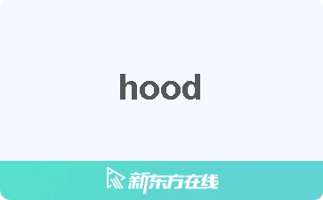 【hood中文什么意思_在线翻译_读发音_用法_双语例句_近反义词】
