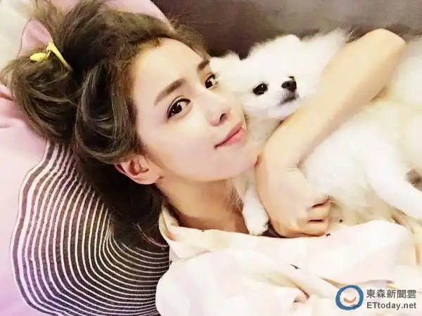 李毓芬放任爱犬电线杆尿尿被民众投诉恐被罚