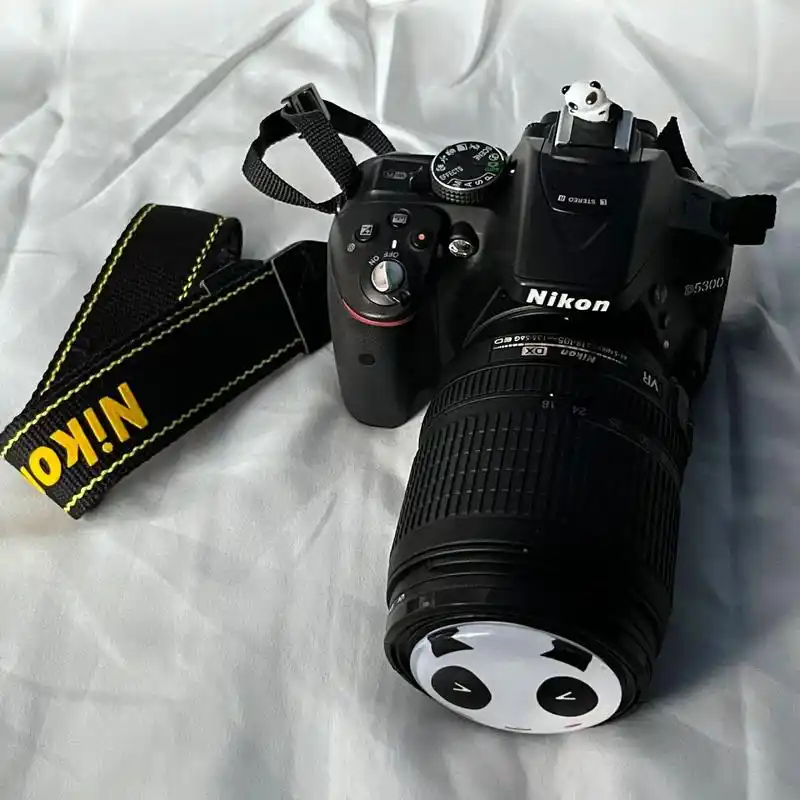 不靠父母全款拿下人生第一台单反尼康d5300 愿望清单进度条又往前一步