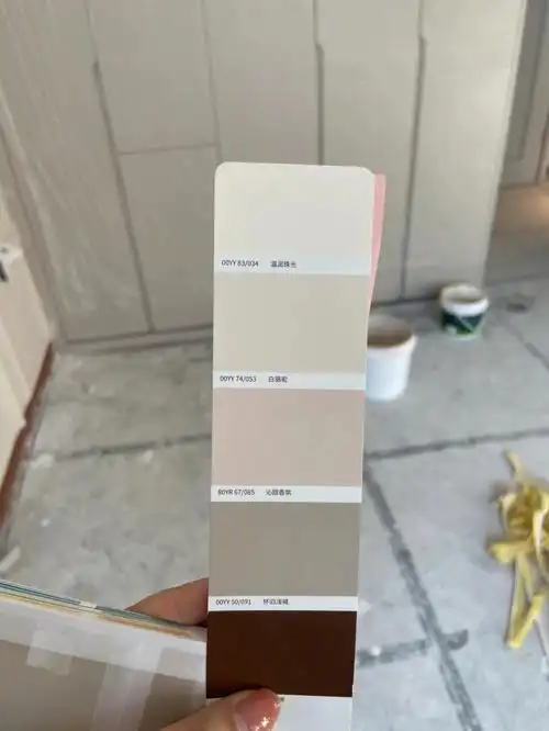 客厅,次卧,书房都用的多乐士温润珠光,颜色很温柔耐看.