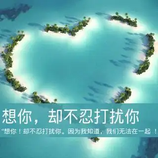 想你却不敢打扰你