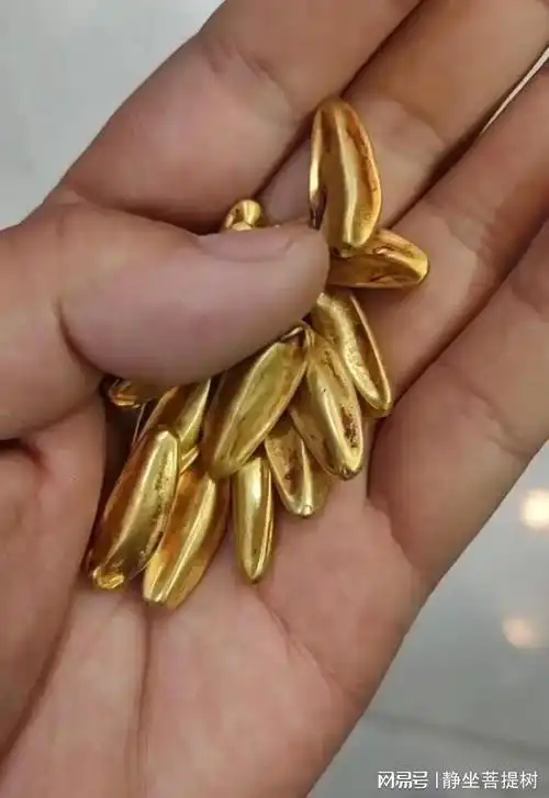 古玩意"金瓜子",有人见过吗?