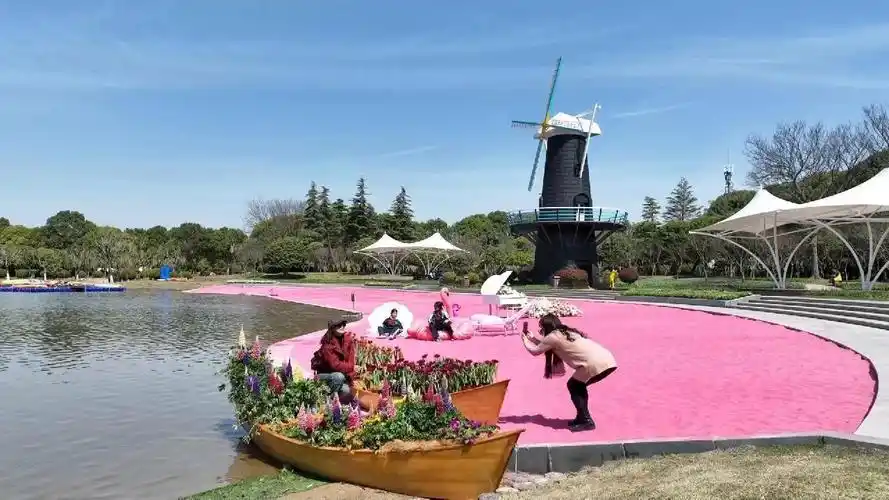 周末去哪儿?上百万株郁金香绽放上海鲜花港