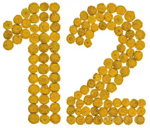 阿拉伯数字 12, 十二, 从黄色的花艾菊, 隔离
