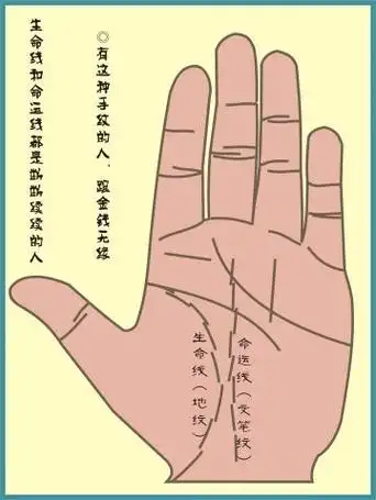 什么是命运线,从命运线能看出什么?