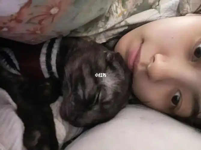 谁懂啊真的好像一个小宝宝趴在怀里睡觉