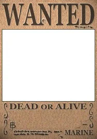 谁能给章海贼王通缉令原搞?