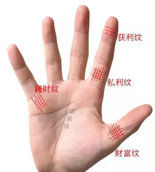 运势偏财运_运缘阁十二生肖运势_生肖今日运势查询运