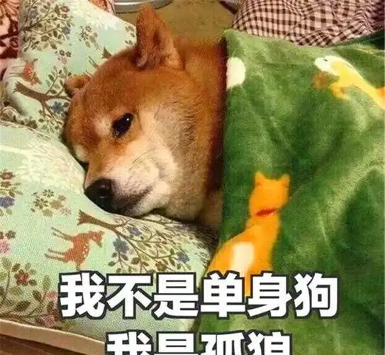 单身必备发朋友圈文案适合单身狗的幽默句子