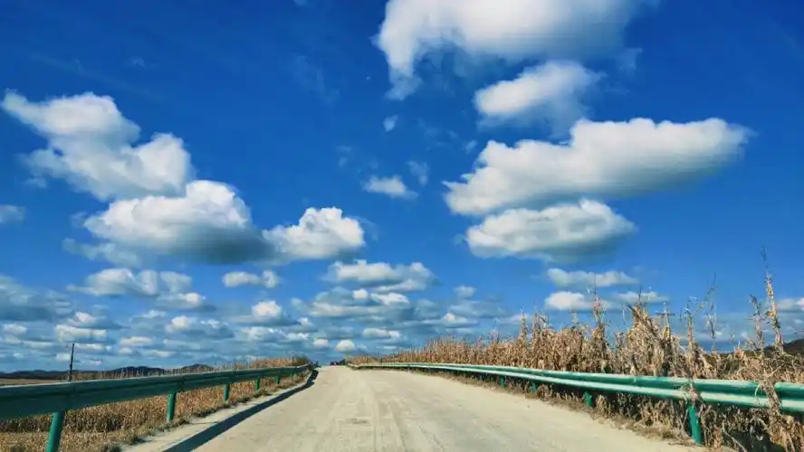 分享一些风景想做个浪漫的人