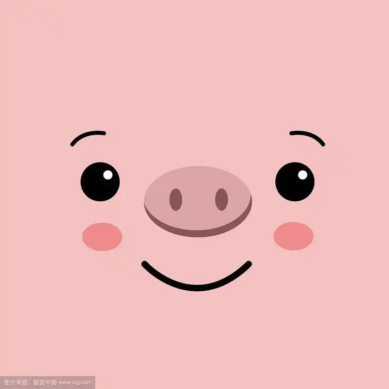 滑稽可爱的猪脸在粉红色的背景可爱的猪