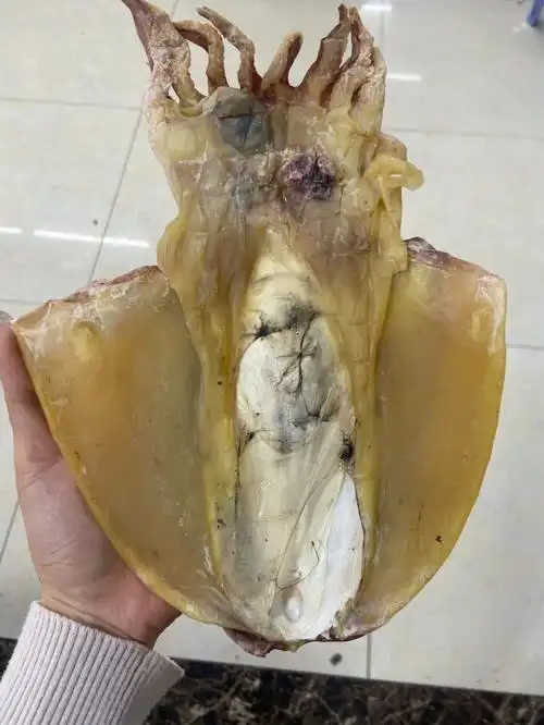 墨鱼干是女性朋友的恩物补气血非常不错