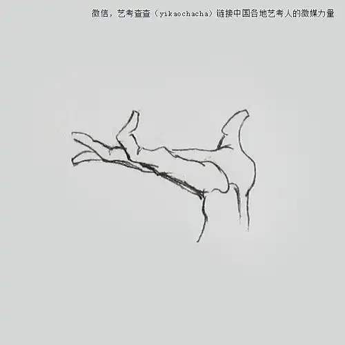 托举东西的手的画法