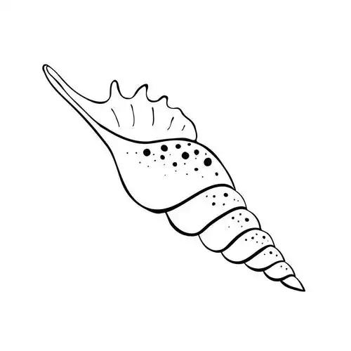 海螺壳,象征,海洋,贝类,海贝,黑色,隔绝,白色背景