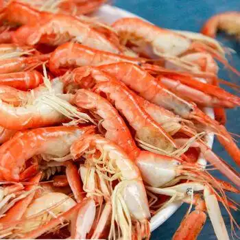 夹板虾250g-2500g拖腿虾叮当虾新鲜嘎巴虾大花虾鼓虾海虾 三斤夹板虾