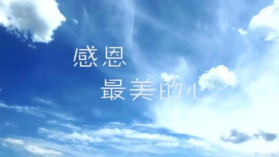 拍客影视——感恩最美心