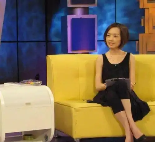 被鲁豫采访是什么梗