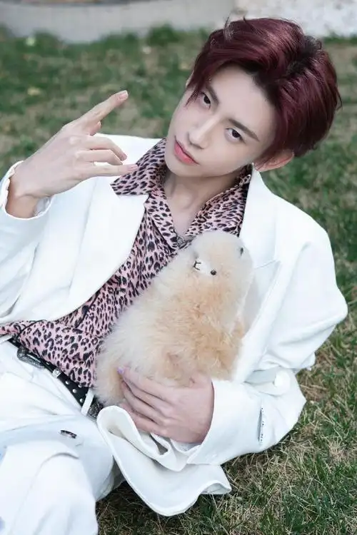 210404 王琳凯白西装舞台照 户外大片公开 羊驼玩偶是什么可爱开关吗?