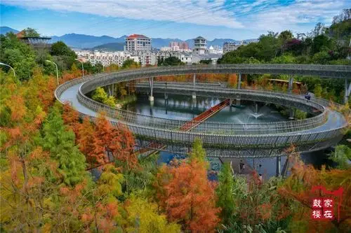 福道,红了!美成了诗!你去看过了吗?_福州