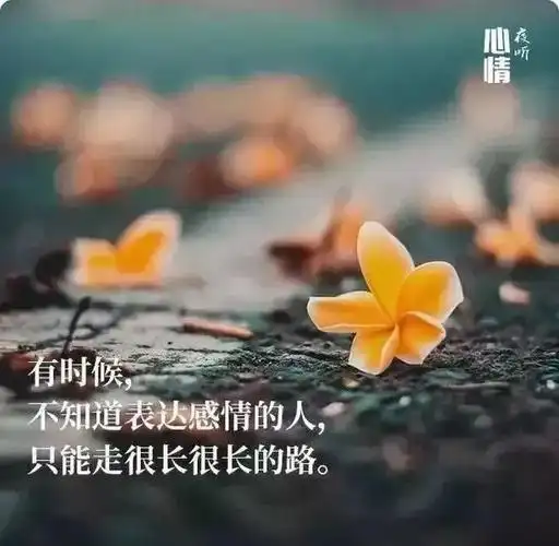 说说好句子朋友圈说说心情短语