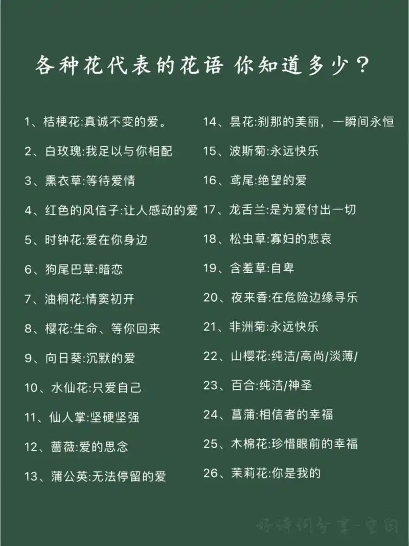 好词好句积累/各种花代表的花语 #花语# #素材# #好词好句积累# #花语