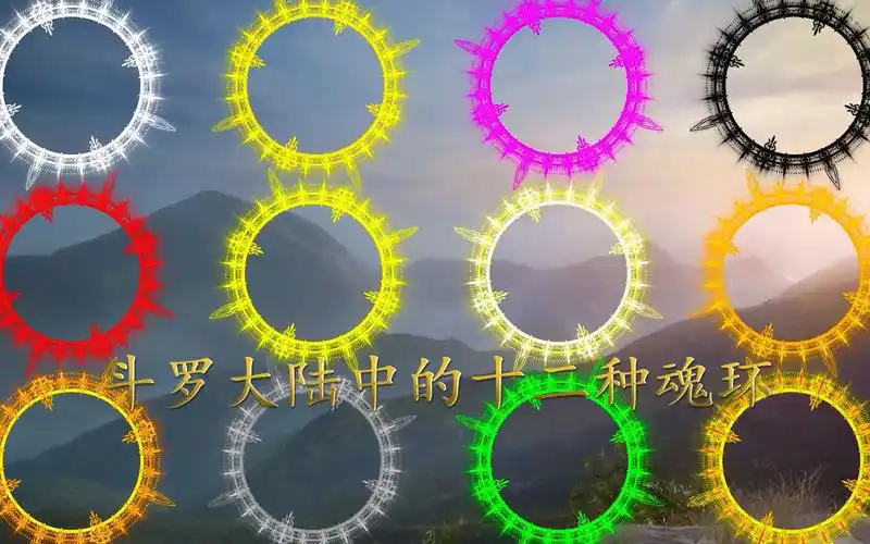 斗罗大陆中的十二种魂环