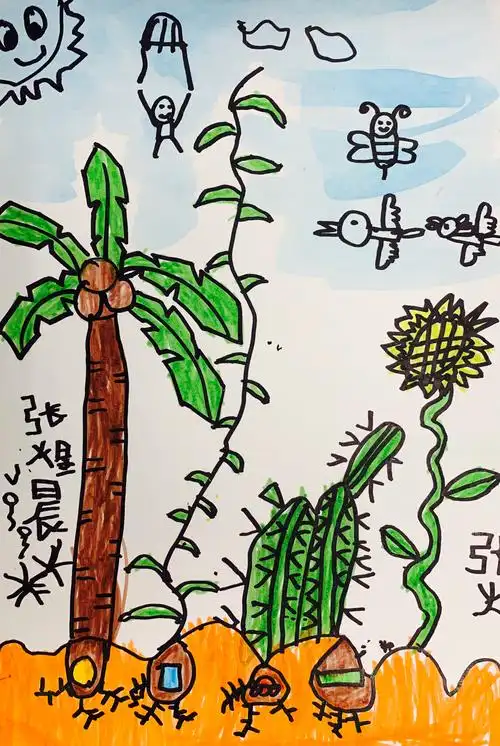 种植物,我种出了椰子树,种出了仙人球和向日葵