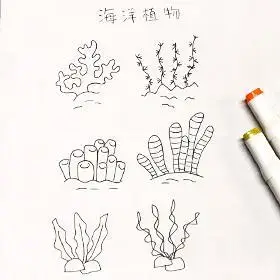 海洋植物主题手帐元素