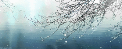 唯美小清新动图壁纸头像