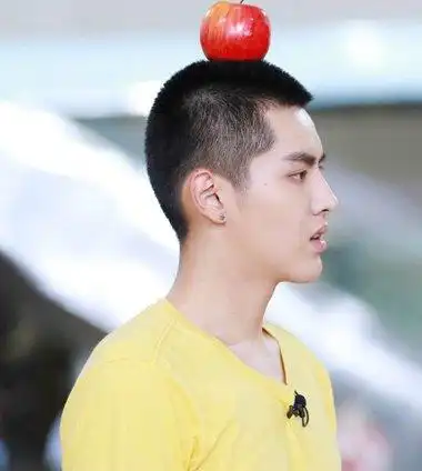 吴亦凡发型板寸头 时尚板寸头发型图片黑色的头发做成了板寸发型设计