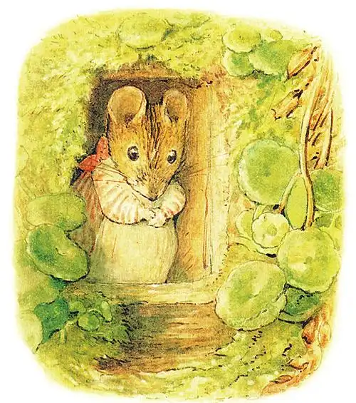 点点鼠太太的故事-老约翰绘本馆-楚雄州楚雄市